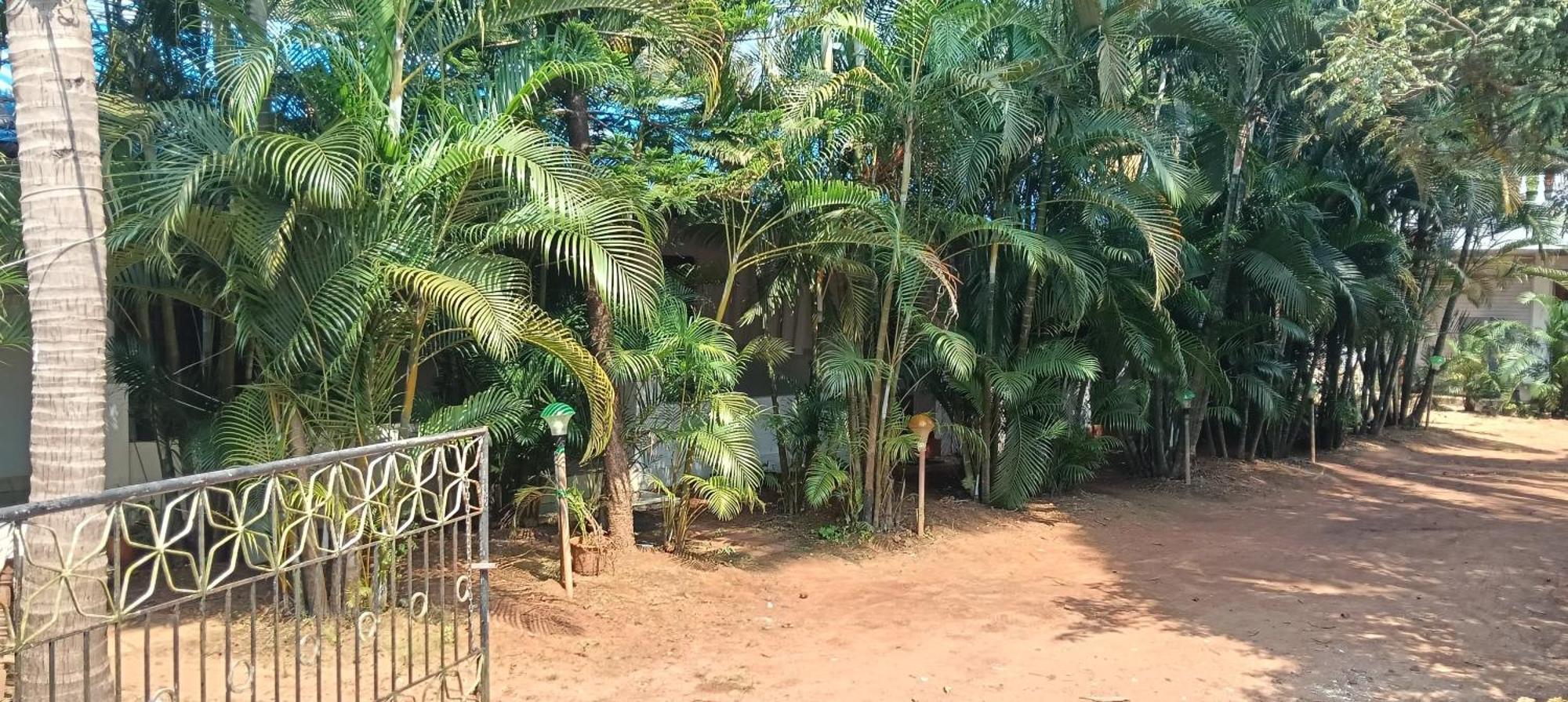 Casa Hut * Palolem