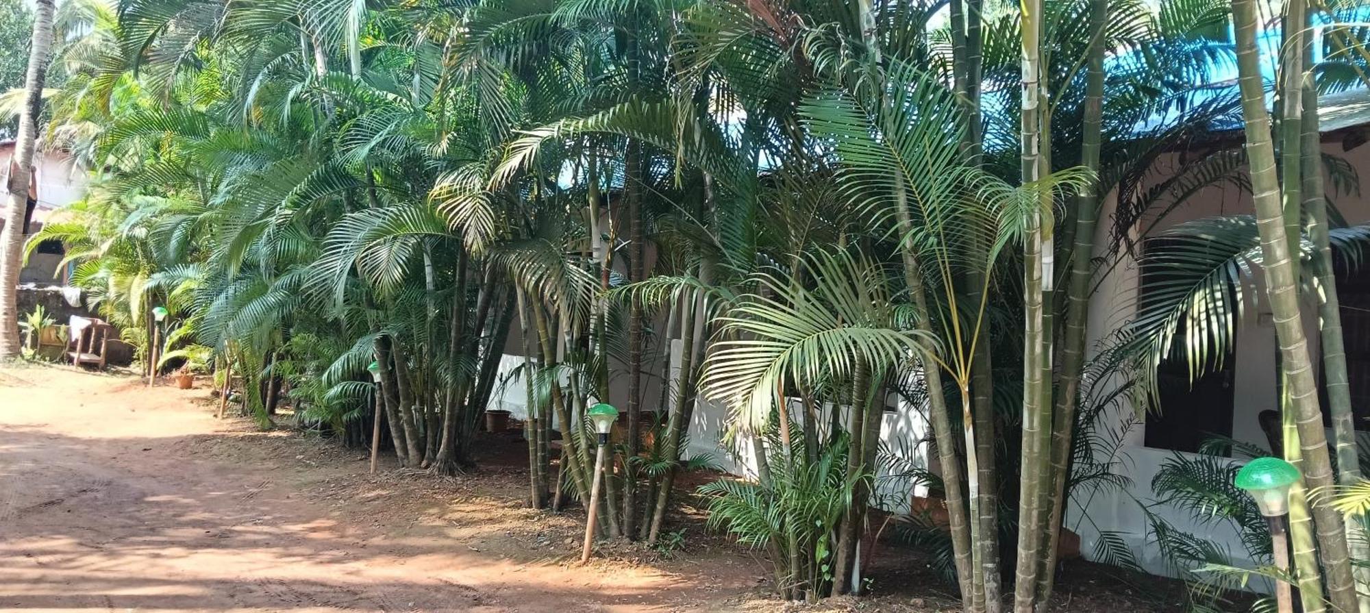 Casa Hut Resort *