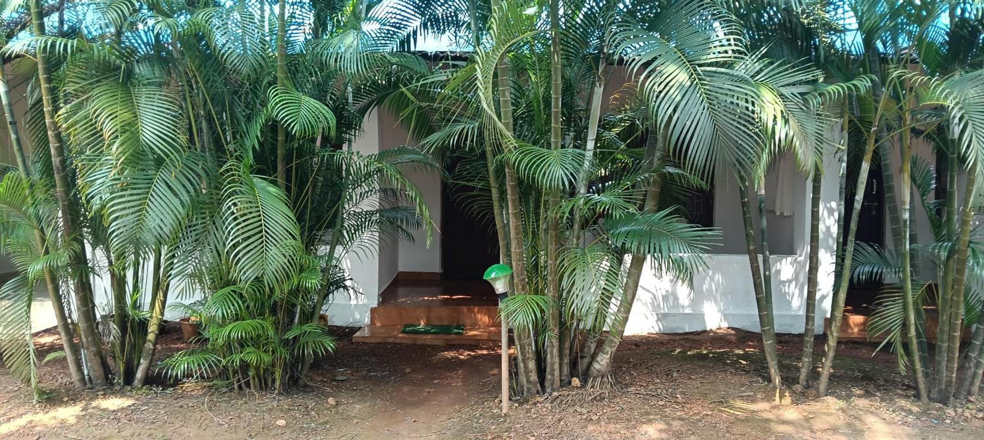 Casa Hut Resort Palolem